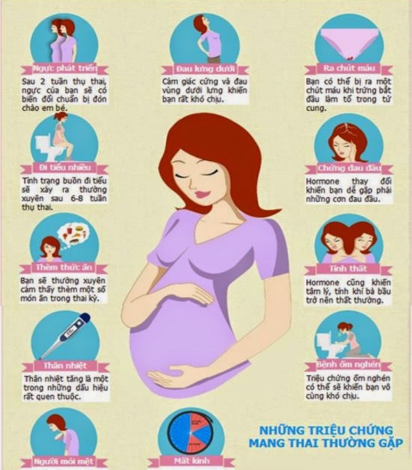 Những dấu hiệu báo bạn đang mang thai giai đoạn đầu 