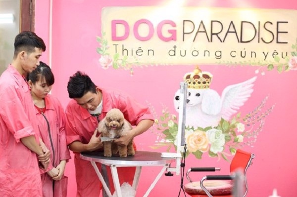 Dịch vụ chăm sóc thú cưng Dog Paradise