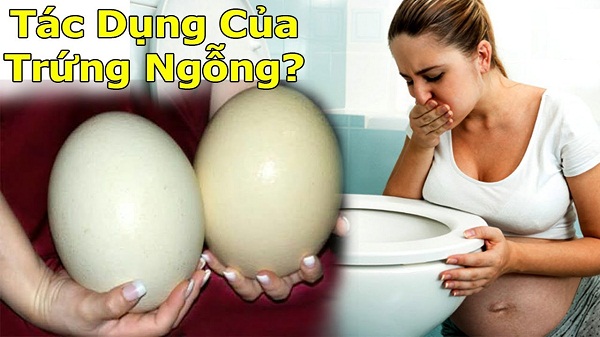 Ăn trứng ngỗng không tốt cho hệ tim mạch và những phụ nữ mang thai có bệnh